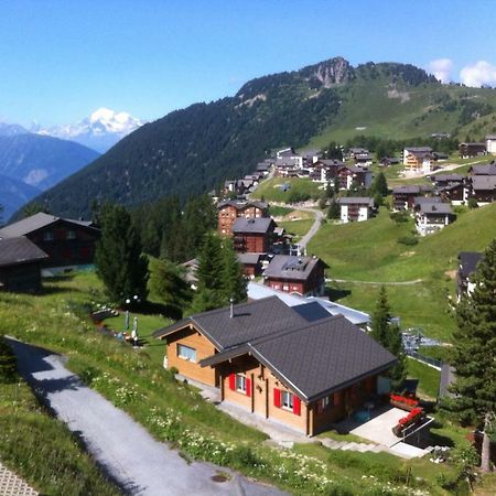 Chalet Enzian Riederalp Kültér fotó