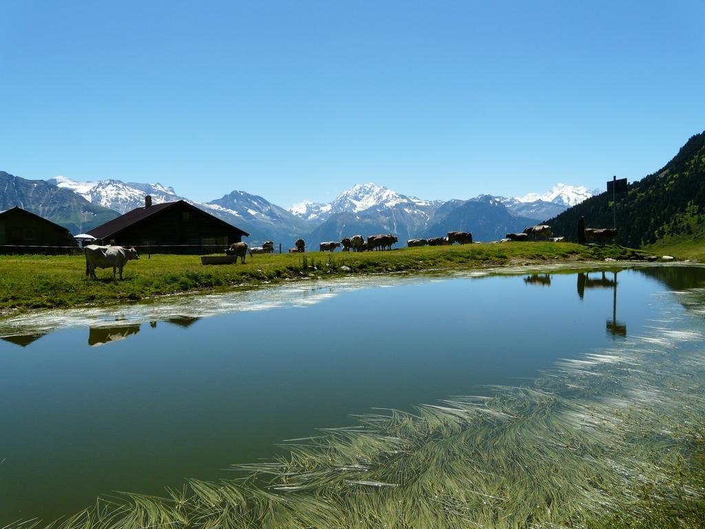 Chalet Enzian Riederalp Kültér fotó