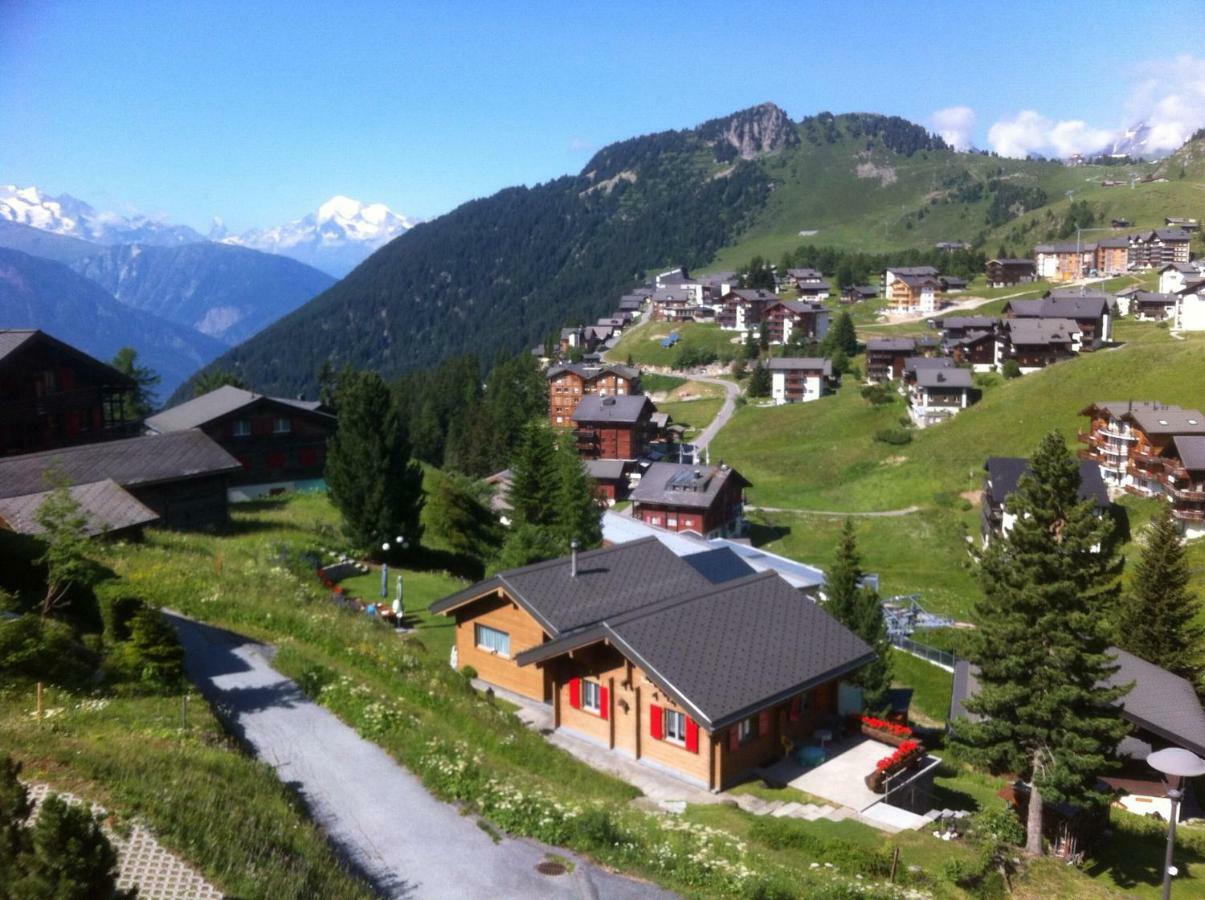 Chalet Enzian Riederalp Kültér fotó
